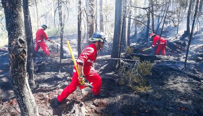 ہیلی فیکس ریجنل فائر اینڈ ایمرجنسی والے فائر فائٹرز نووا اسکاٹیا کے ٹینٹالون علاقے میں آگ بجھانے کے لیے کام کر رہے ہیں۔  اے ایف پی/فائل