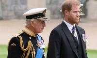 Why Prince Harry warned King Charles prior to Lilibet 2nd birthday?