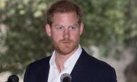 Prince Harry Has ‘almost Opened Up A Hornet's Nest’