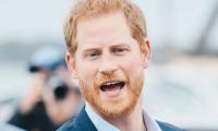 Prince Harry branded ‘sole contributor’ to Prince William ‘discord’