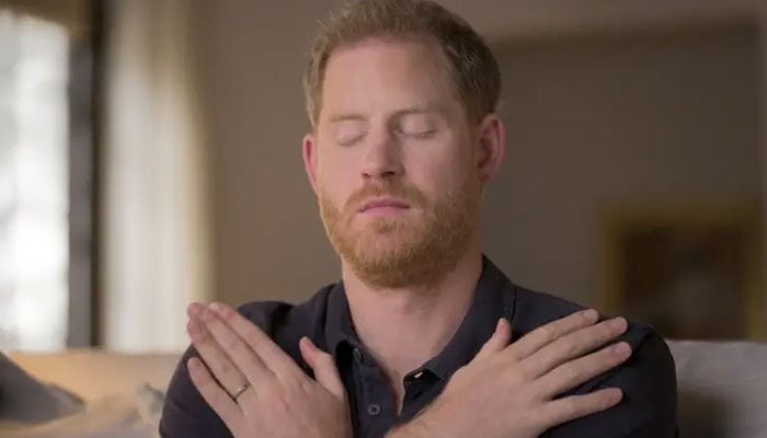 Prince Harry’s ‘self-righteous posturing makes cracking TV’