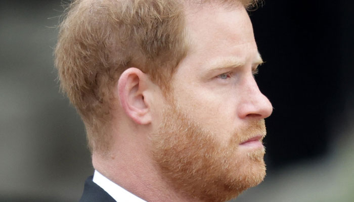 Prince Harry’s ‘maunderings’ can be easily dismissed as ‘obviously wrongheaded’
