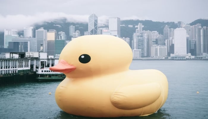 This representational picture shows a giant inflatable duck at riverbank. — Unsplash/File
