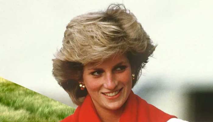 A day after being criticised for being Harrys mother, Diana praised for giving birth to William