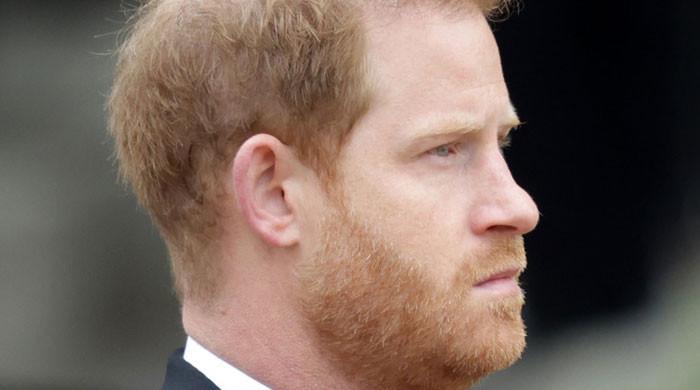 Prince Harry’s ‘maunderings’ can be easily dismissed as ‘obviously wrongheaded’