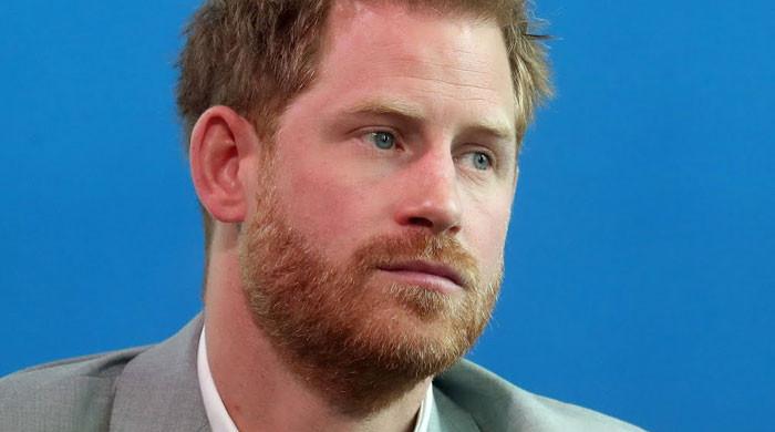 ‘Spoilt, entitled’ Prince Harry says ‘whatever he likes, however self-serving’