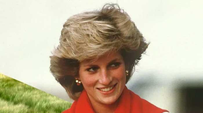 A day after being criticised for being Harry's mother, Diana praised for giving birth to William