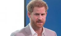 Prince Harry is like an ‘unguided missile sighting enemies here and there’