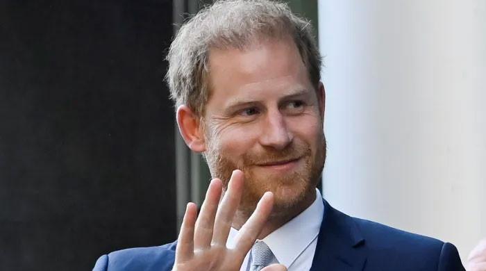 Prince Harry is a ‘potentially lethal’ man ‘defying constitutional traditions’