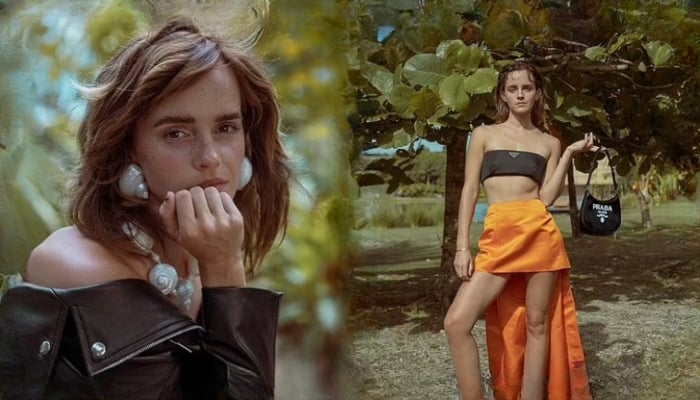 Emma Watson slays netizens with her breathtaking pictures