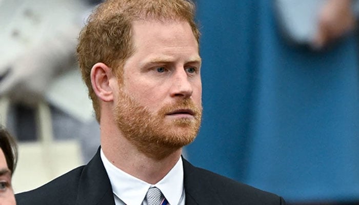 Prince Harry’s accusations have ‘largely gone unchallenged’ but ‘no more’