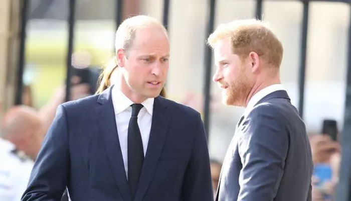 Prince Harry causing ‘waves of fear’ in Prince Williams backyard: Theyre very wary