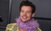Harry Styles Steering Clear Of ‘committed Relationships’ After Olivia Wilde Split