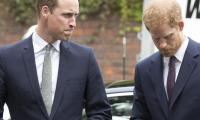 Prince William ‘wants to get physical’ with Prince Harry: ‘Punch his lights out!’