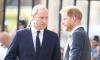 Prince Harry causing ‘waves of fear’ in Prince William's backyard: 'They're very wary'