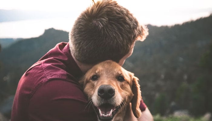 This representational pictures shows a man hugging a dog. — Unsplash/File