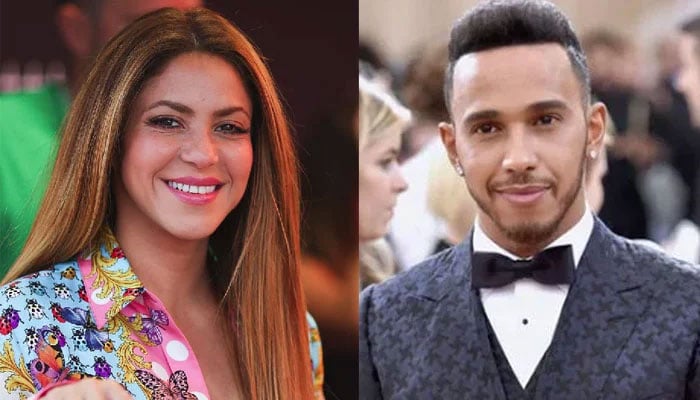Shakira and Lewis Hamilton are in the early stages of dating, according to  reports