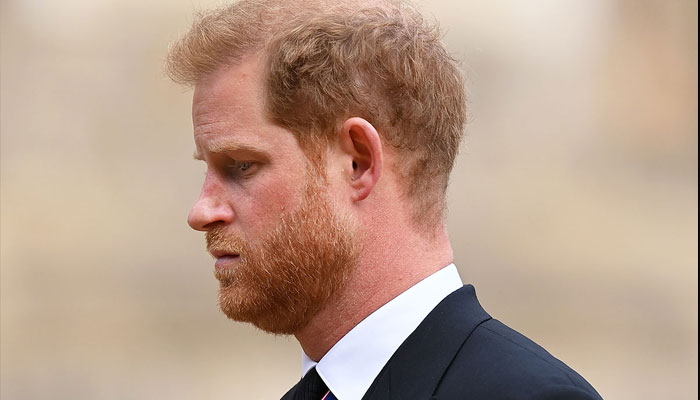 Prince Harry is ‘getting dragged through the worst’ at Meghan Markle’s hand