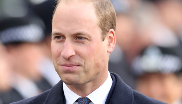 Prince William is an ‘antsy, restless prince with big ambitions and little patience’