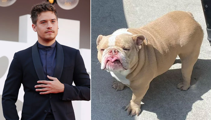 Disney star Dylan Sprouse pays tribute to late dog Magnus