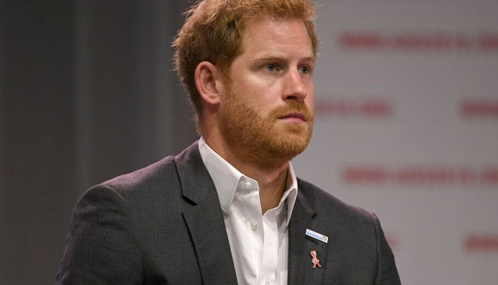 Prince Harry has ‘mined the royal glamour for all its worth’