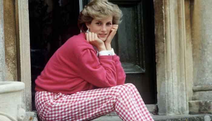 Princess Dianas dance partner had to meet certain criteria, claims new book