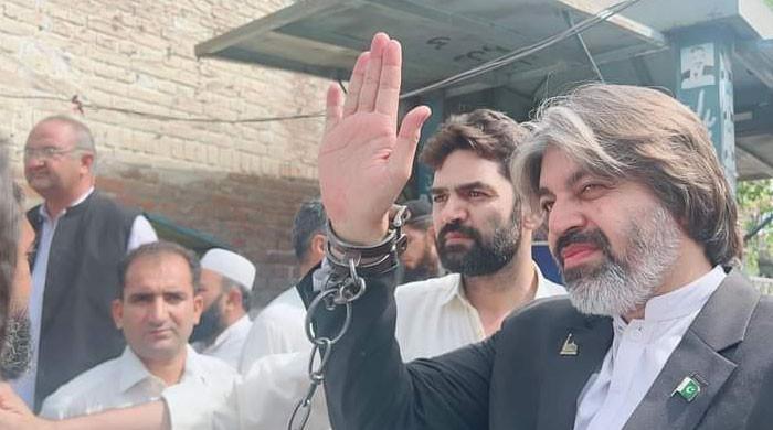 PTI's Ali Muhammad Khan rearrested shortly after being released