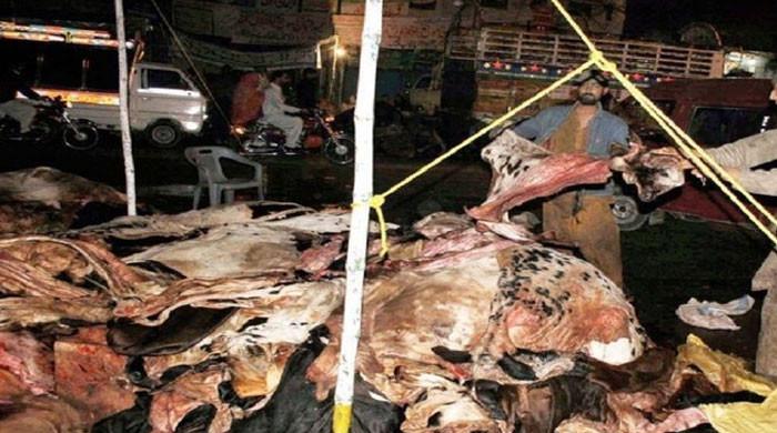 Ban imposed on forced collection of hides in Sindh