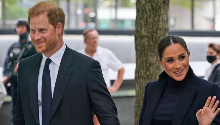 Prince Harry, Meghan Markle are ‘sinking rapidly into total obscurity’