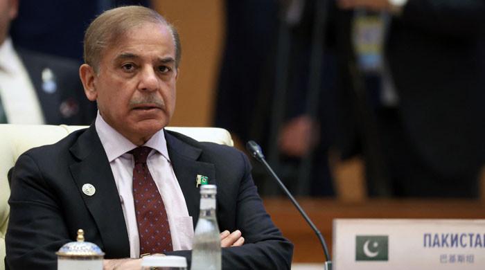 PM Shehbaz to attend SCO virtual summit on July 4