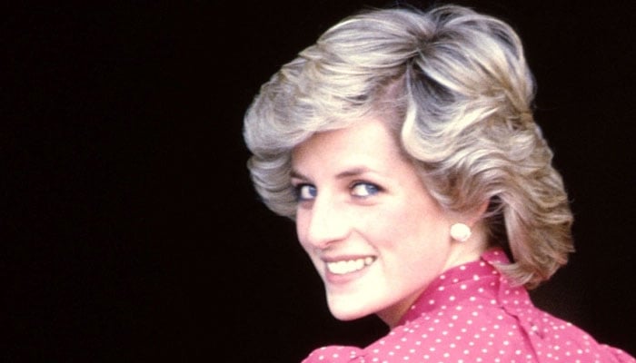 Princess Diana eyes were like 'mood board' on last birthday before death