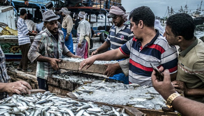 A worker vends freshly-caught fish at a pier in the Egyptian town of Ezbet al-Borg along the Nile river deltas Damietta branch. — AFP/File