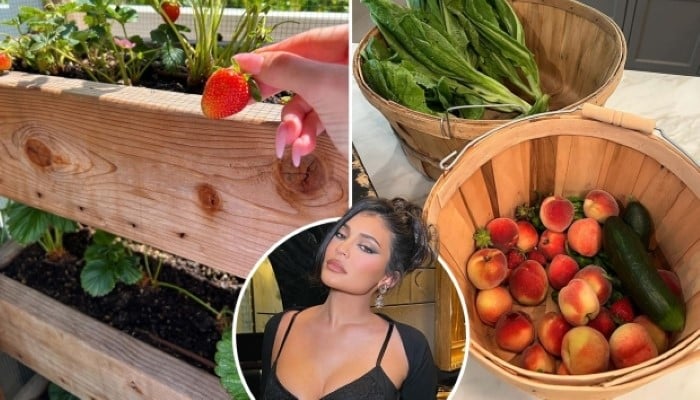 Kylie Jenner flaunts thriving home garden on Instagram