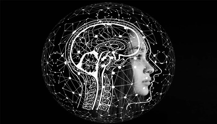 یہ نمائندہ تصویر لڑکیوں کے چہرے پر انسانی دماغ کے کراس سیکشن کی ایک مثال دکھاتی ہے۔  - Pixabay/فائل