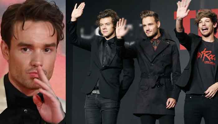 Liam Payne apologises to Harry Styles, Zayn Malik and other bandmates for being wrong