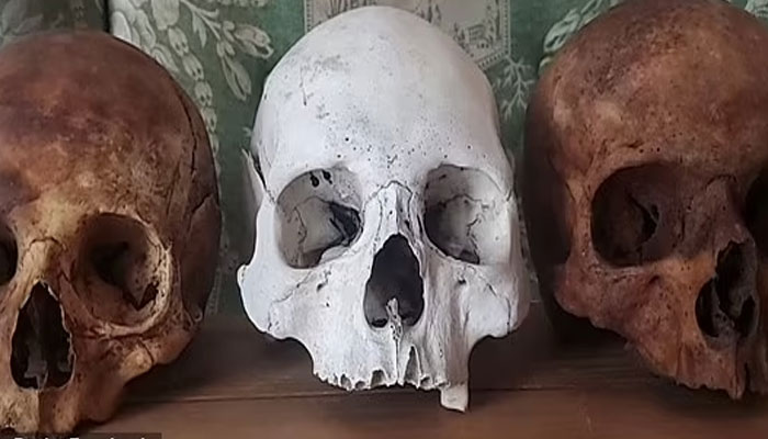 The picture shows human skulls. — Facebook/WilliamBurke