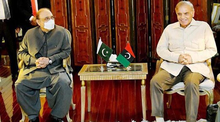 PM, Zardari discuss appointing 'politician as caretaker premier'