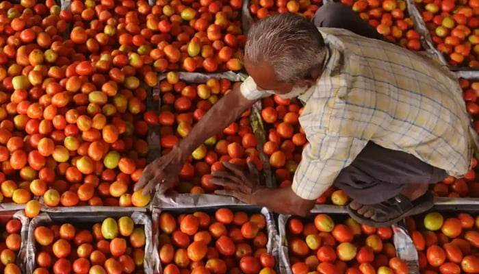 Shopkeeper sifts through his tomato stock. — AFP/File