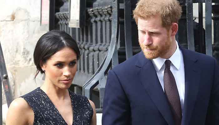 American Sussex squad formed to support Prince Harry, Meghan Markle