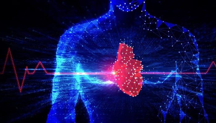 فاؤنٹین لائف کا مقصد AI کو ان کی تشخیصی صلاحیتوں کو بڑھانے کے لیے ایک طاقتور ٹول کے طور پر استعمال کرتے ہوئے امراض قلب کے ماہرین کے کام کی تکمیل کرنا ہے — Unsplash/Files