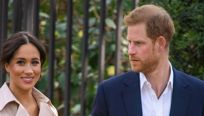 Prince Harry, Meghan Markle not headed for divorce, protest fans