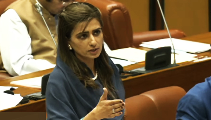 Minister of State for Foreign Affairs Hina Rabbani Khar addresses the Senate in Islamabad, on August 4, 2023, in this still taken from a video. — YouTube/PTVNewsLive