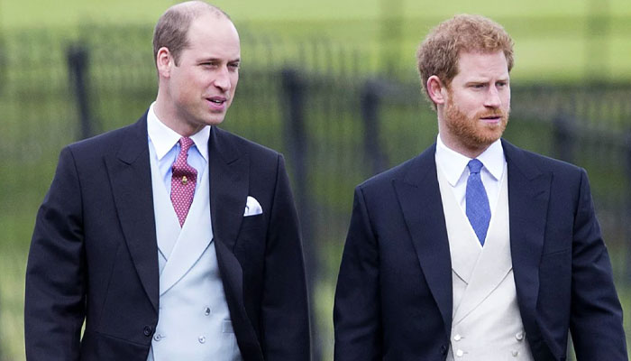 Prince Harry dubbed as ‘reality star’ while Prince William has ‘real ideas’