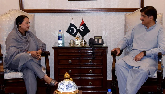 Sindh Assembly Opposition Leader Rana Ansar (L) and Chief Minister Murad Ali Shah (R) in a meeting at CM House, Karachi. — Twitter/@SindhCMHouse