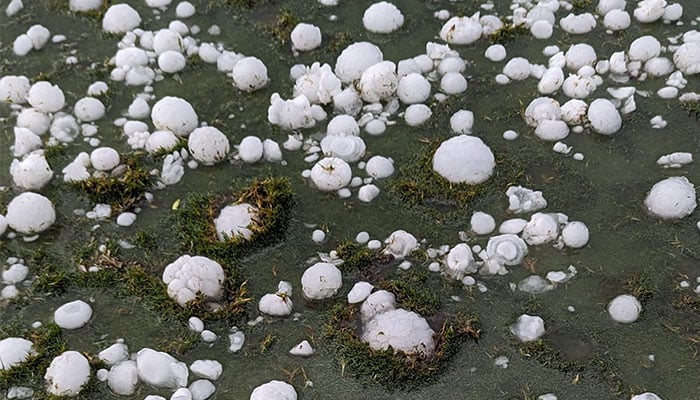 Giant hail stones buried into the golf course ground.  — Facebook/@Derek Hasselberg
