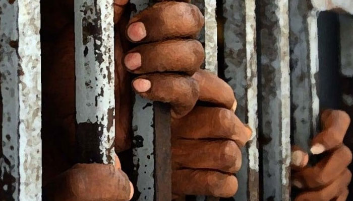 President Dr Arif Alvi approves remission in sentences for prisoners on Independence Day. — AFP/File