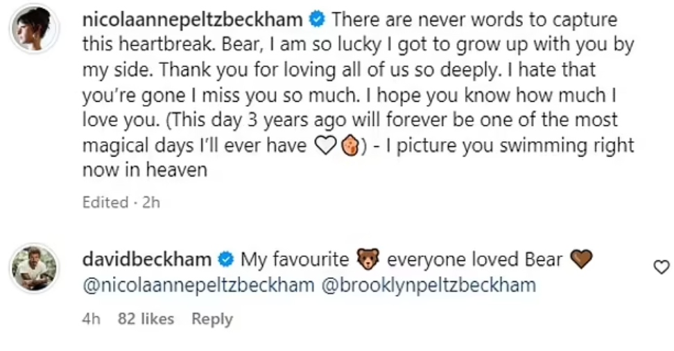 David Beckham shows full support to Nicola Peltz amid her tragic loss
