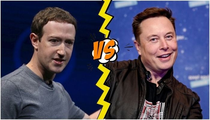 31 of the Funniest Responses to the Potential Mark Zuckerberg/Elon Musk  Cage Fight