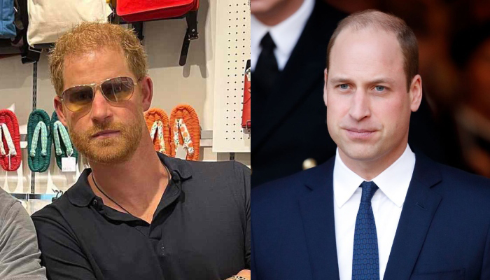 Prince Harry was reportedly left looking and Prince William (R)