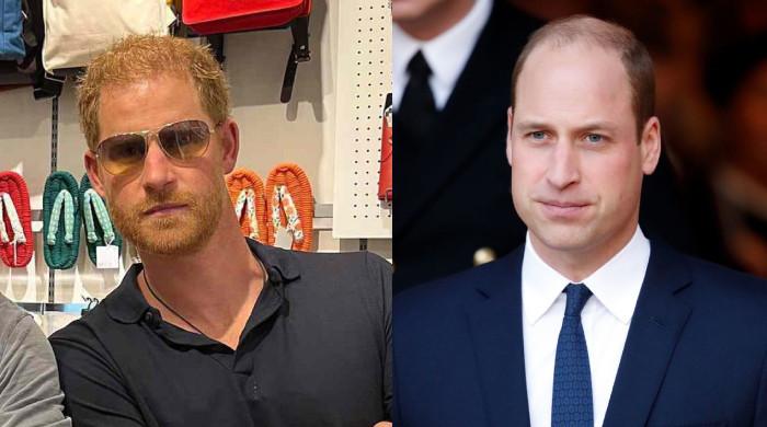'Daggy' Prince Harry left looking 'lame' after Prince William serves big blow